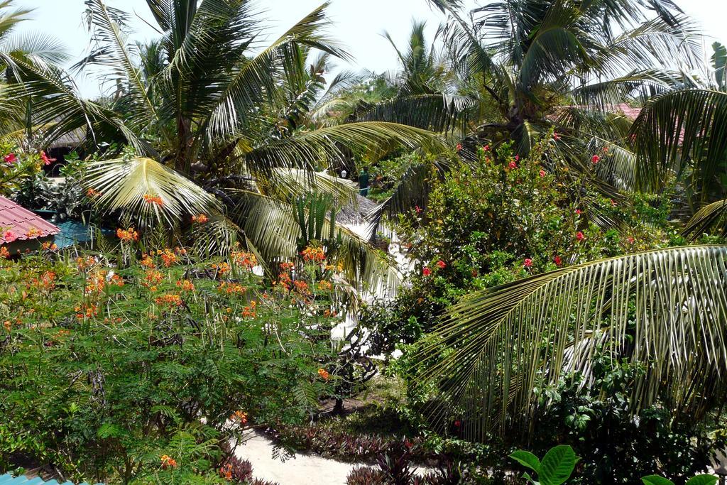 African Dream Cottages - Diani Beach Exterior photo