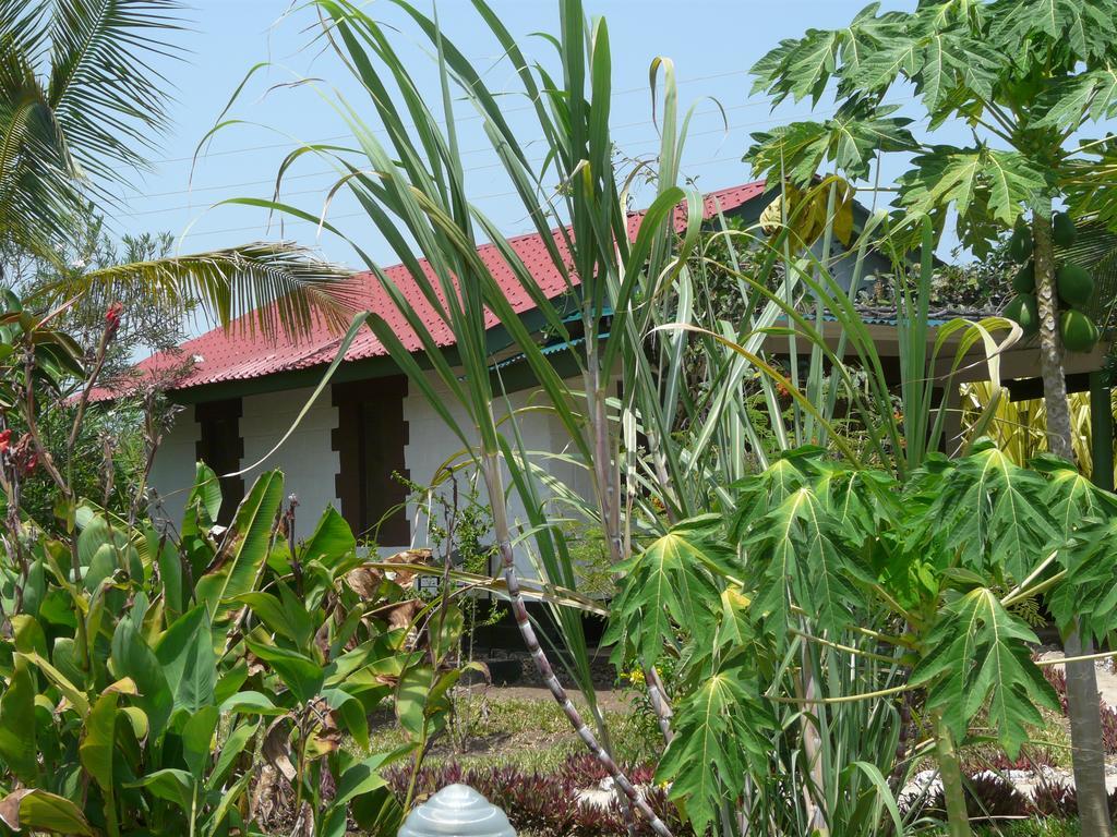 African Dream Cottages - Diani Beach Exterior photo