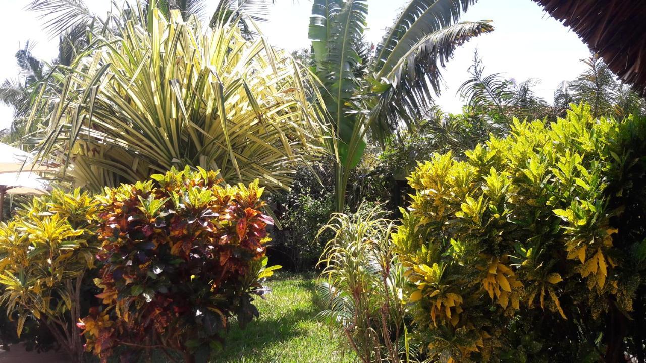 African Dream Cottages - Diani Beach Exterior photo